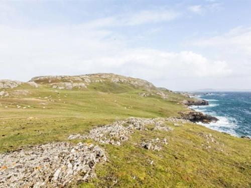 The Beach, Days Bar And B&B Inishbofin Exteriör bild
